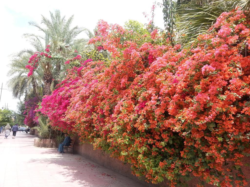 Riad Des Etoiles 마라케시 외부 사진